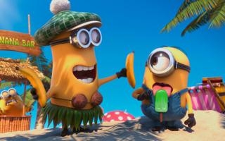 韩国女篮vs中国女篮