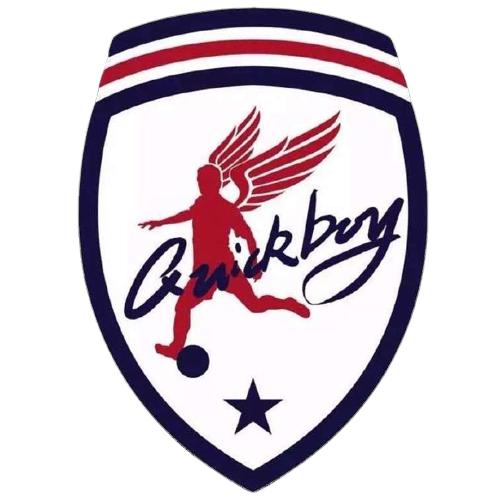 青岛追风少年官方队徽